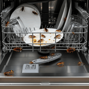 ג'וקים במדיח כלים