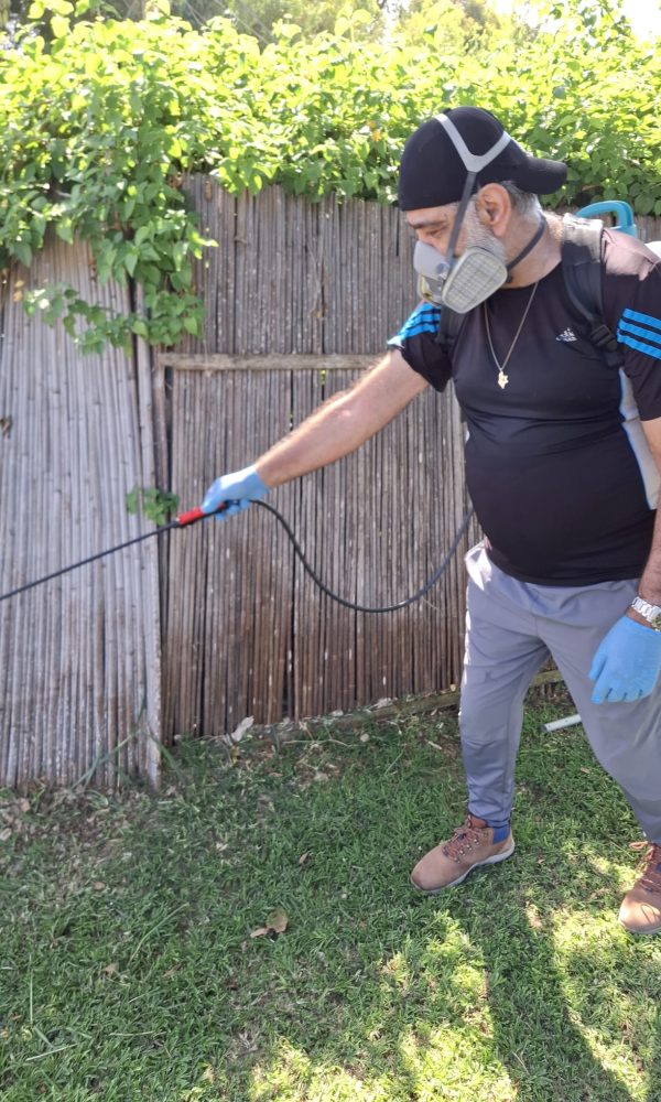 תיקנים חברת הדברות מקצועית