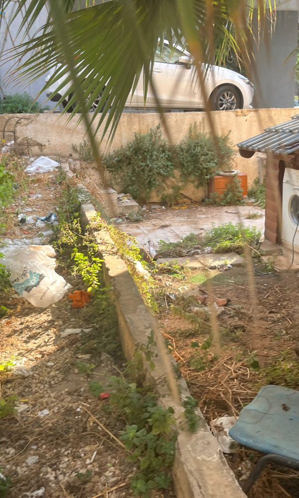 הדברת חולדות ועכברים בראשון לציון