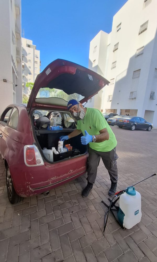 מדביר ג'וקים ותיקנים מקצועי בראשון לציון
