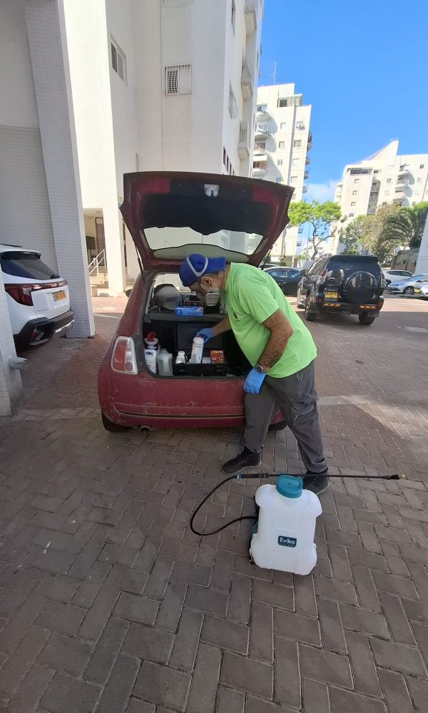 מדביר ג'וקים ותיקנים מקצועי בראשון לציון