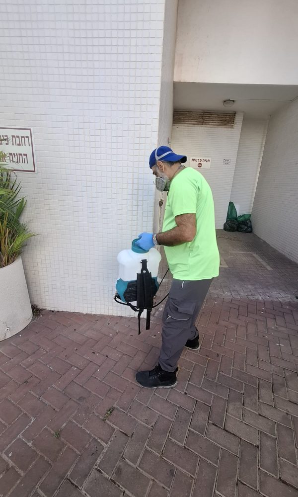 מדביר ג'וקים ותיקנים מקצועי בראשון לציון