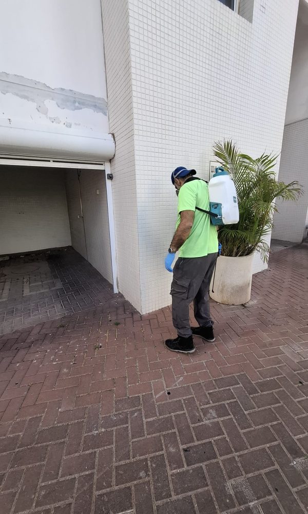 מדביר ג'וקים ותיקנים מקצועי בראשון לציון