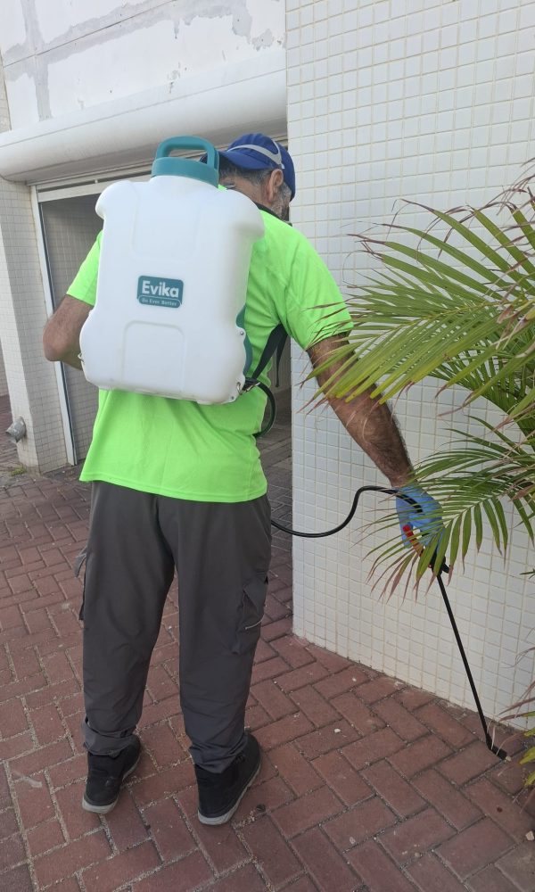 מדביר ג'וקים ותיקנים מקצועי בראשון לציון