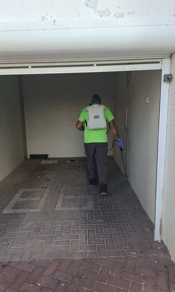 מדביר ג'וקים ותיקנים מקצועי בראשון לציון