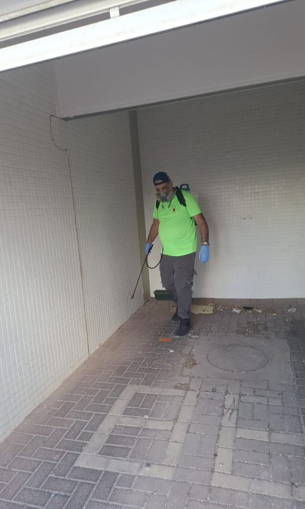 מדביר ג'וקים ותיקנים מקצועי בראשון לציון