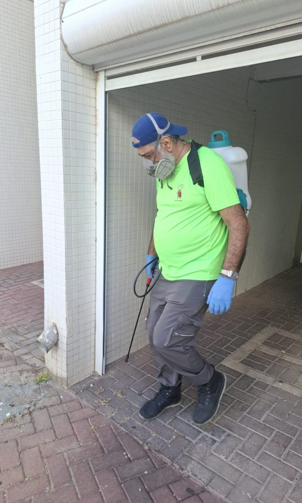 מדביר ג'וקים ותיקנים מקצועי בראשון לציון