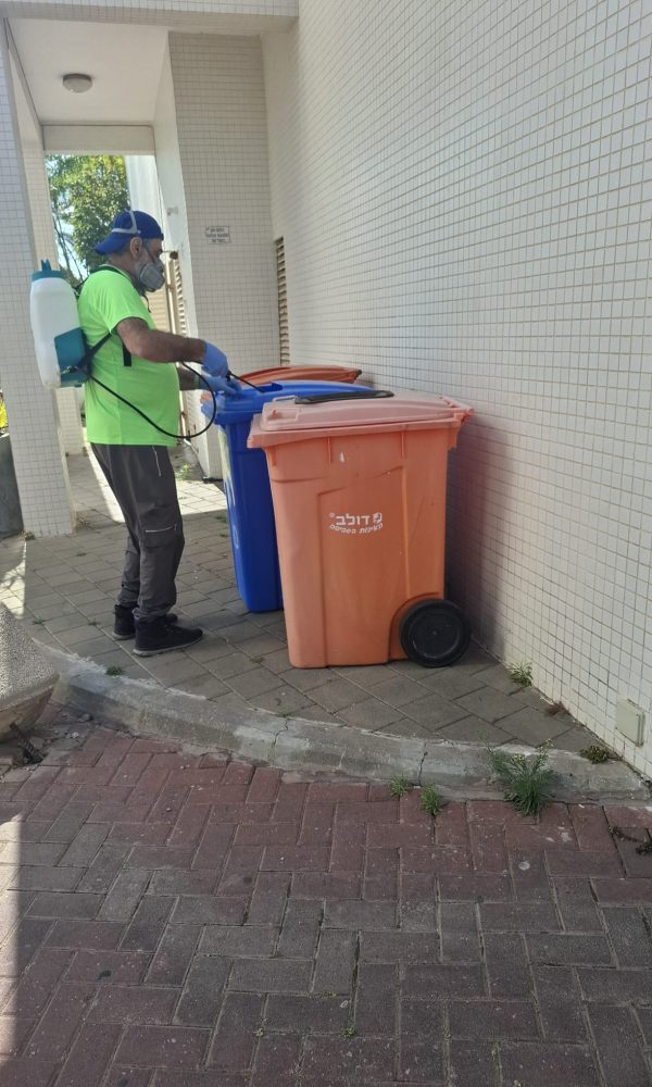 מדביר ג'וקים ותיקנים מקצועי בראשון לציון