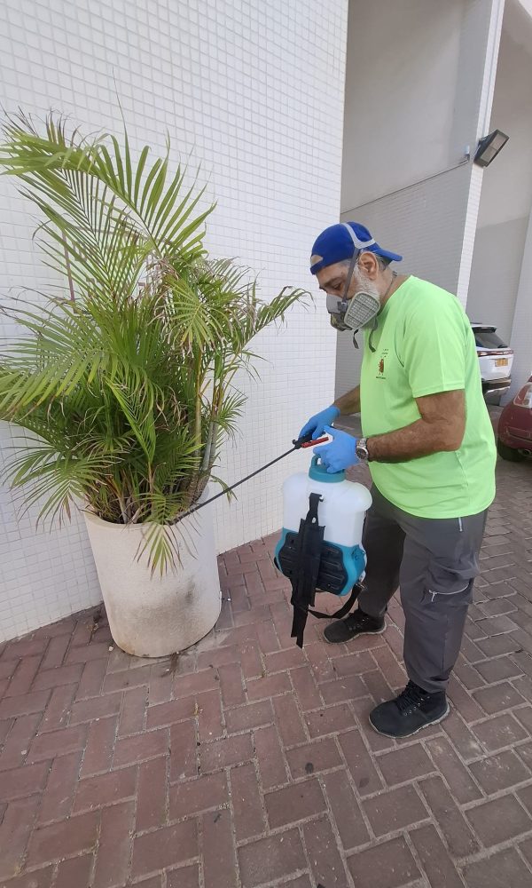 מדביר ג'וקים ותיקנים מקצועי בראשון לציון