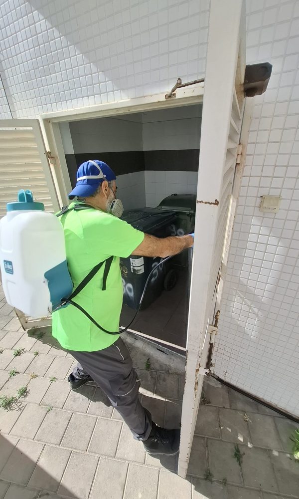 מדביר ג'וקים ותיקנים מקצועי בראשון לציון