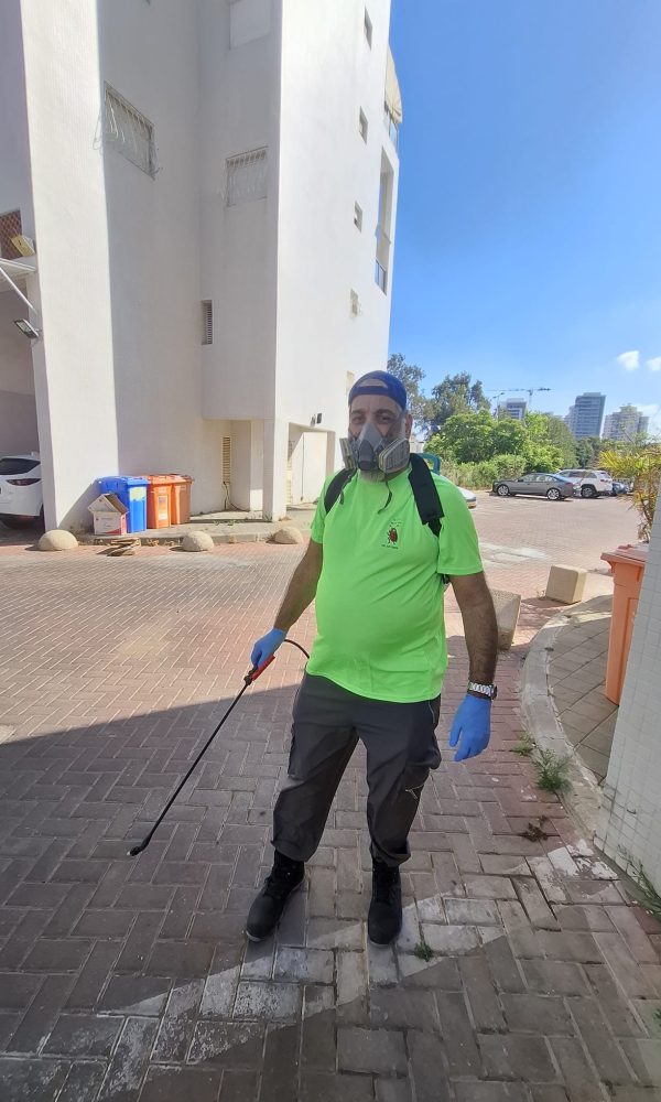 מדביר ג'וקים ותיקנים מקצועי בראשון לציון