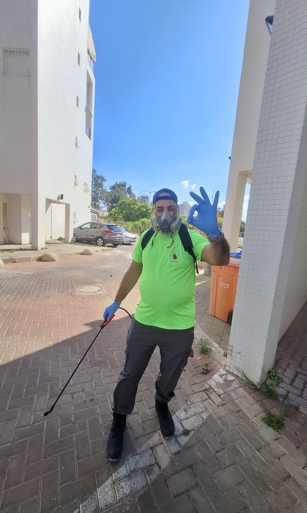 מדביר ג'וקים ותיקנים מקצועי בראשון לציון