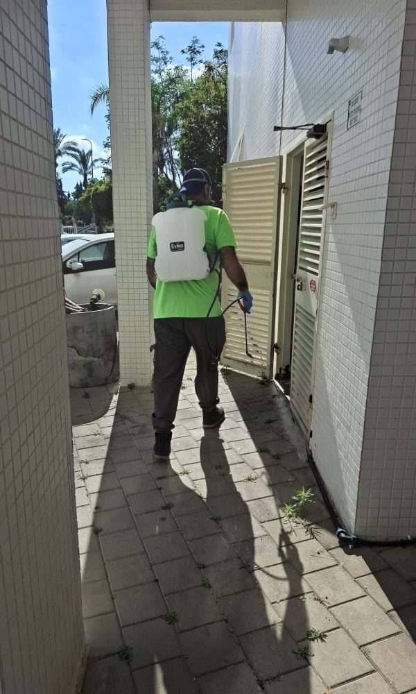 מדביר ג'וקים ותיקנים מקצועי בראשון לציון